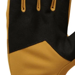 Everyday Softshell Gloves