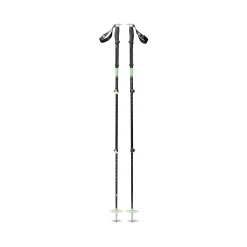 Expedition 3 Ski Poles