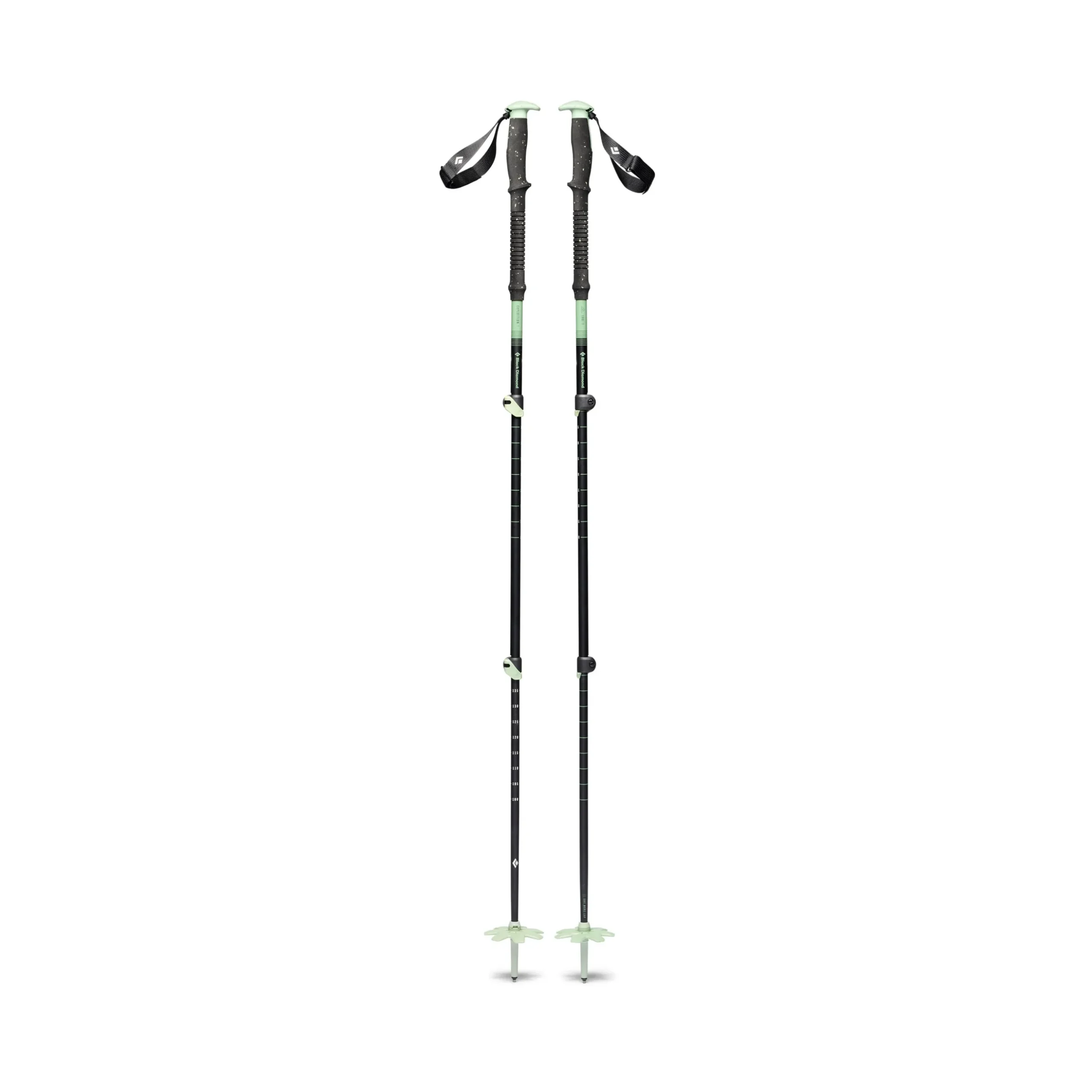 Expedition 3 Ski Poles