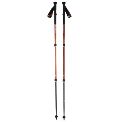 Trail Back Trekking Poles