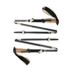Trail Vista FLZ Trekking Poles