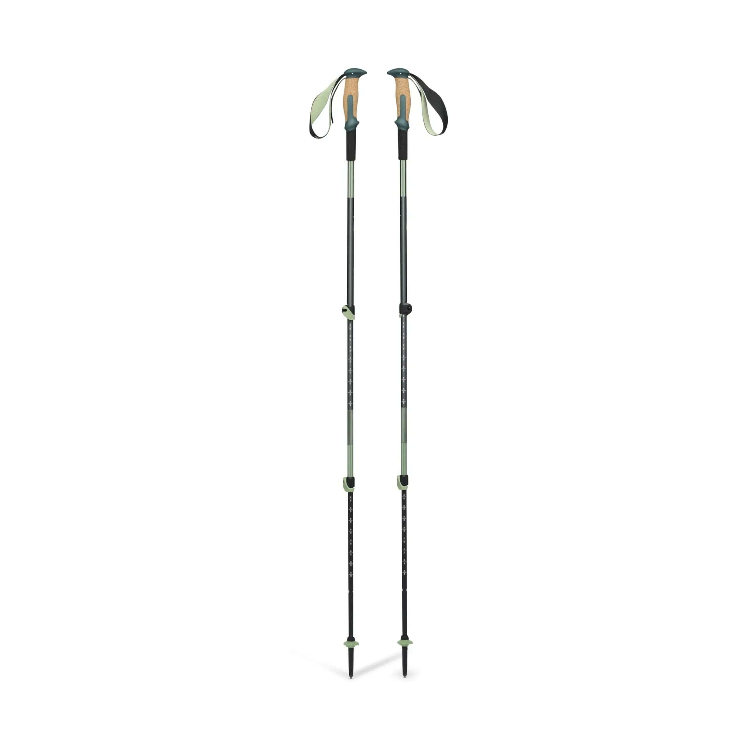 Trail Vista Shock Trekking Poles