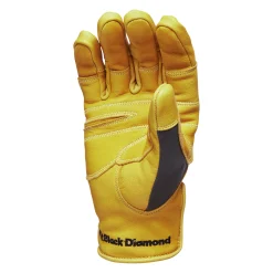 Transition Gloves