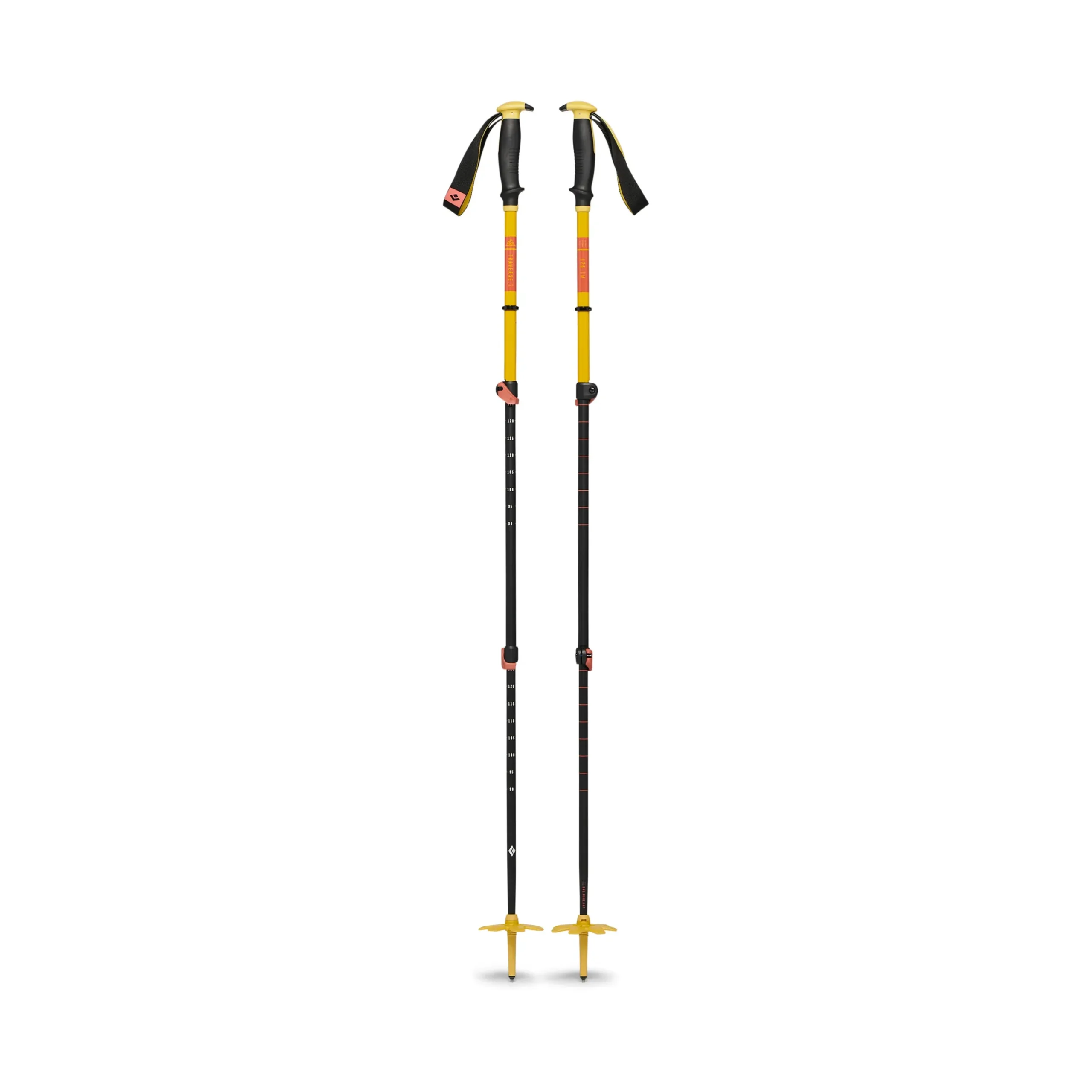 Traverse 3 Ski Poles