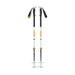 Traverse Pro Ski Poles