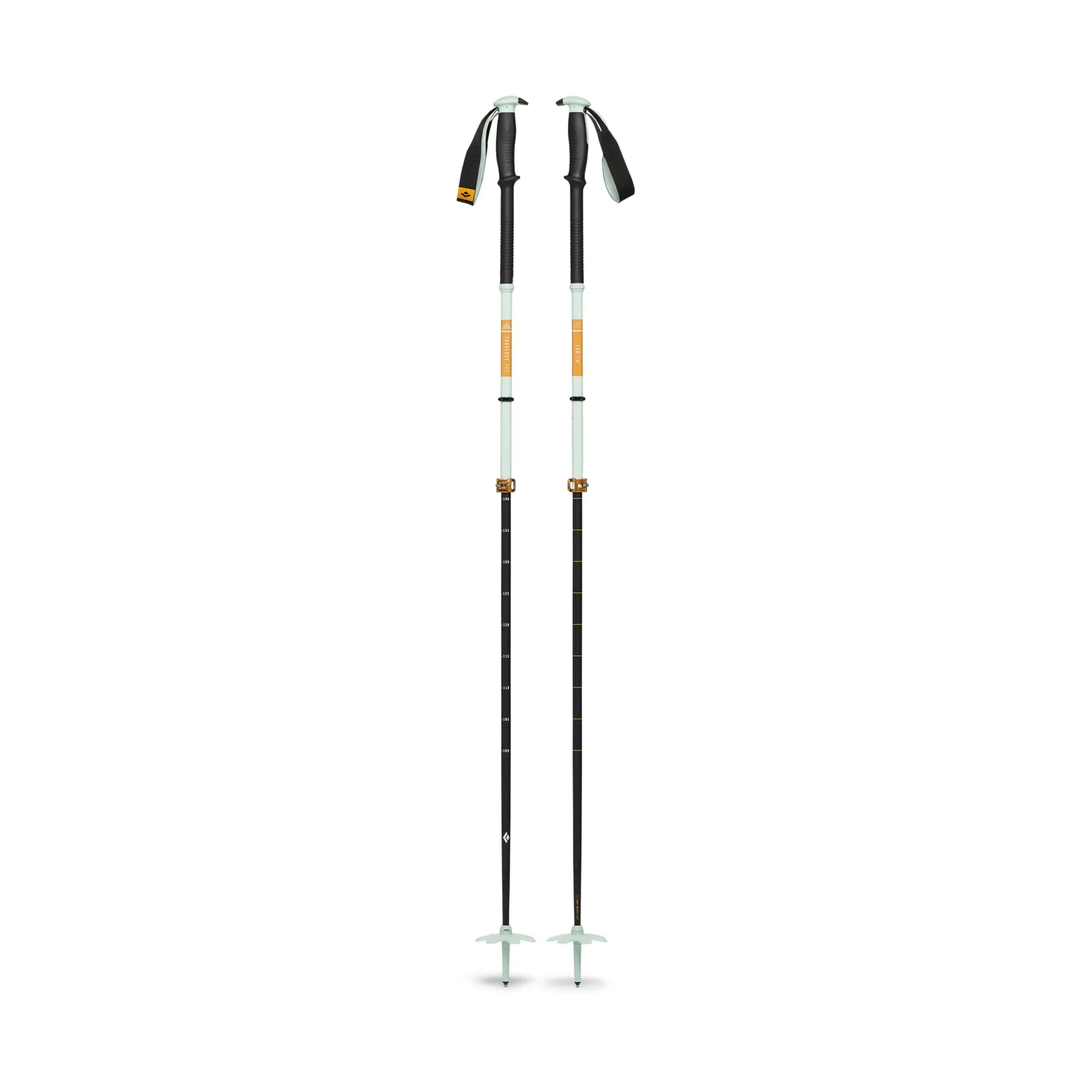 Traverse Pro Ski Poles