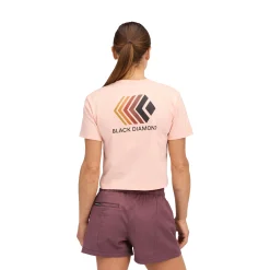 Women's Faded Crop Short Sleeve Tee