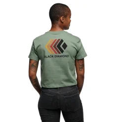 Women's Faded Crop Short Sleeve Tee